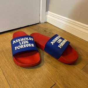 ALF Slides